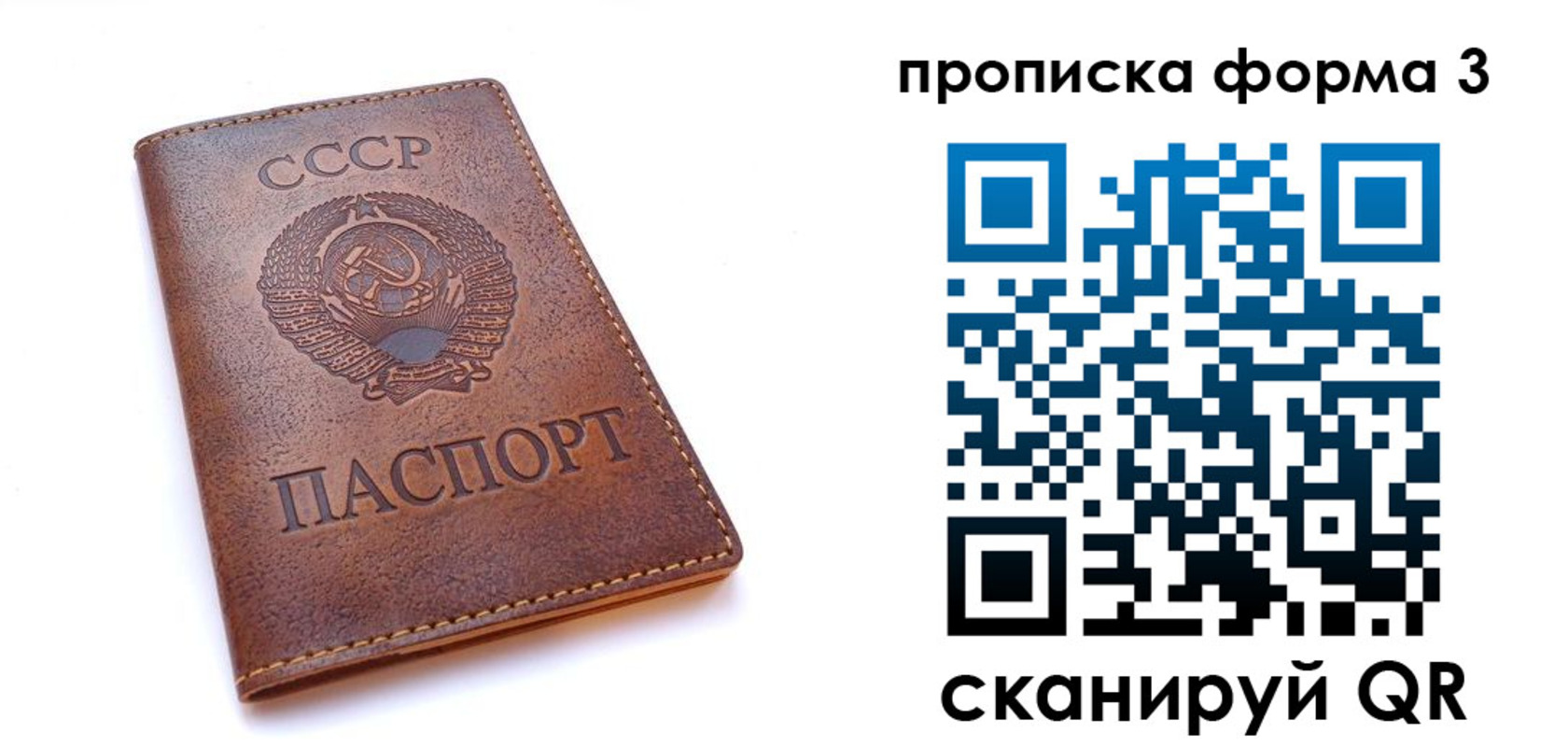 временная прописка в Дальнегорске